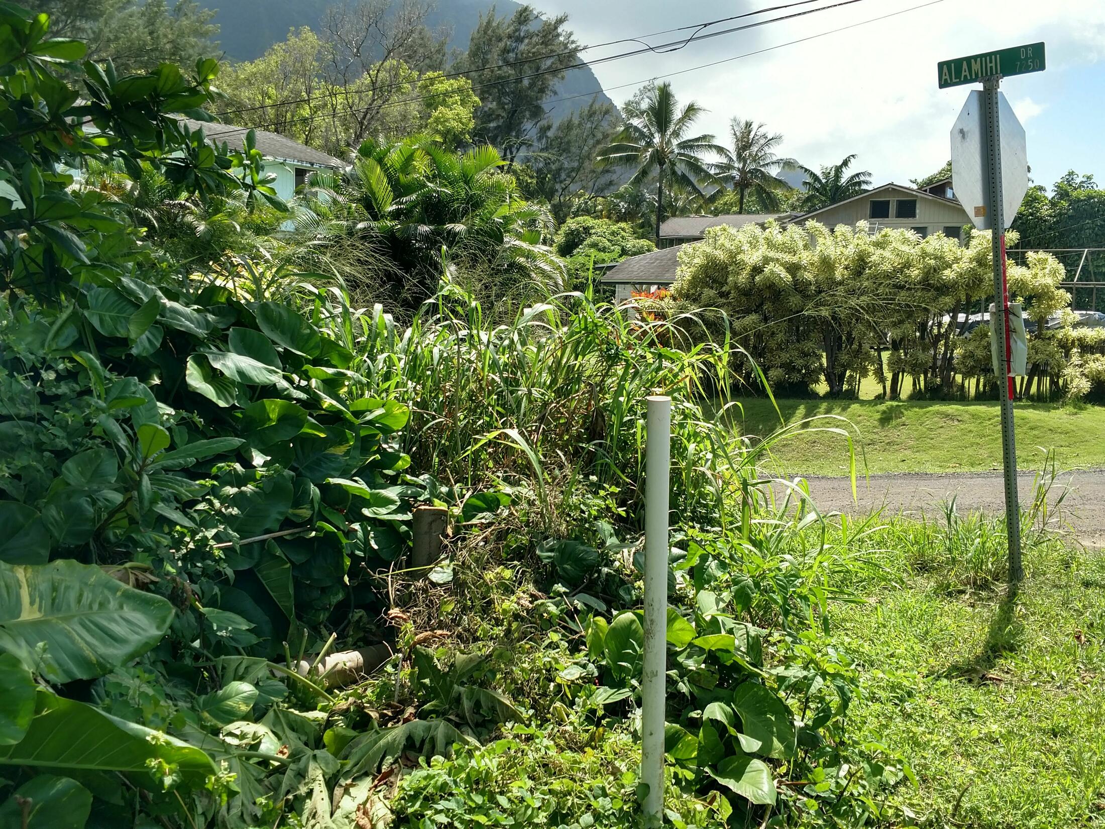 Property photo 20