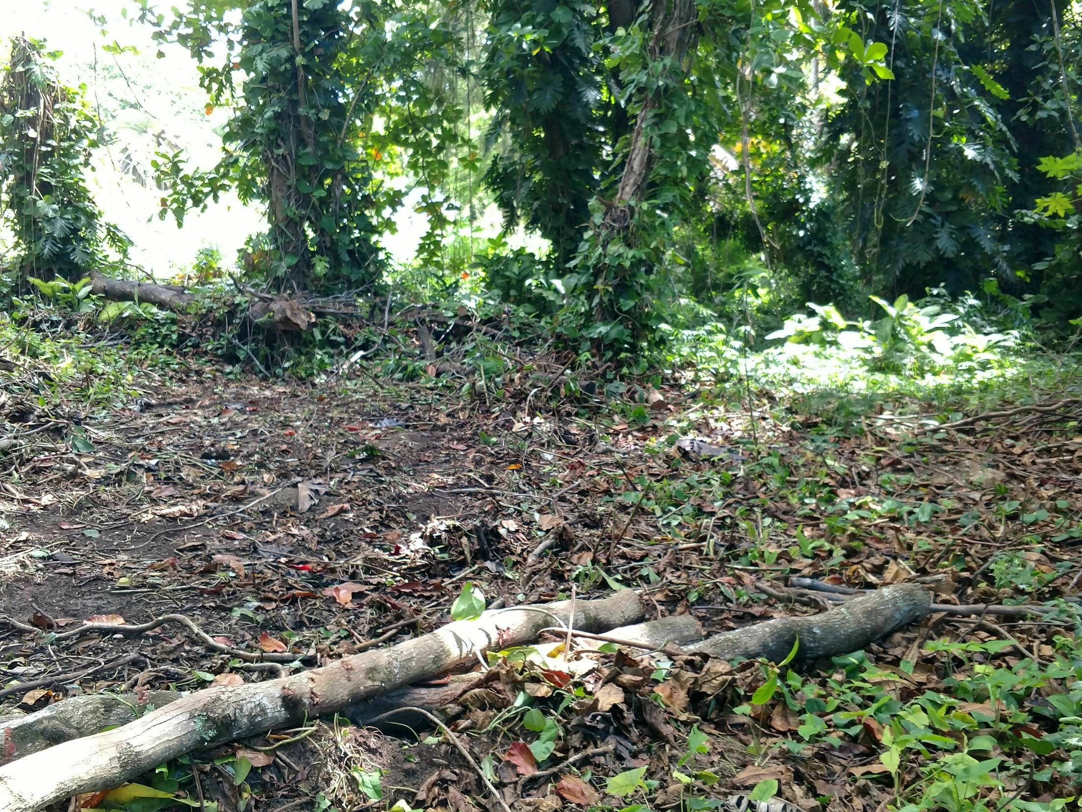 Property photo 8