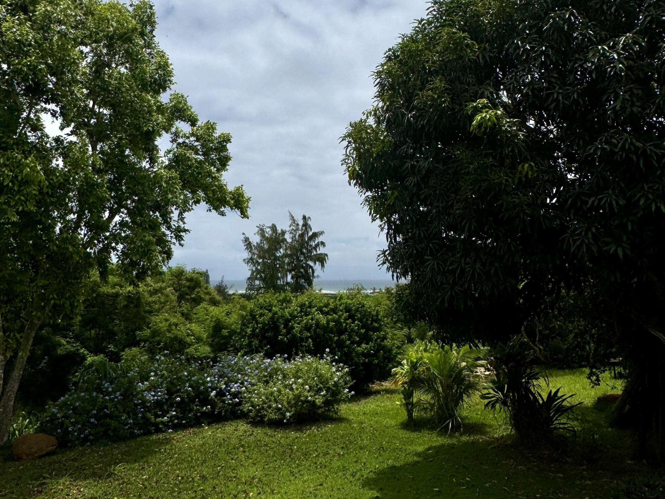 Property photo 29