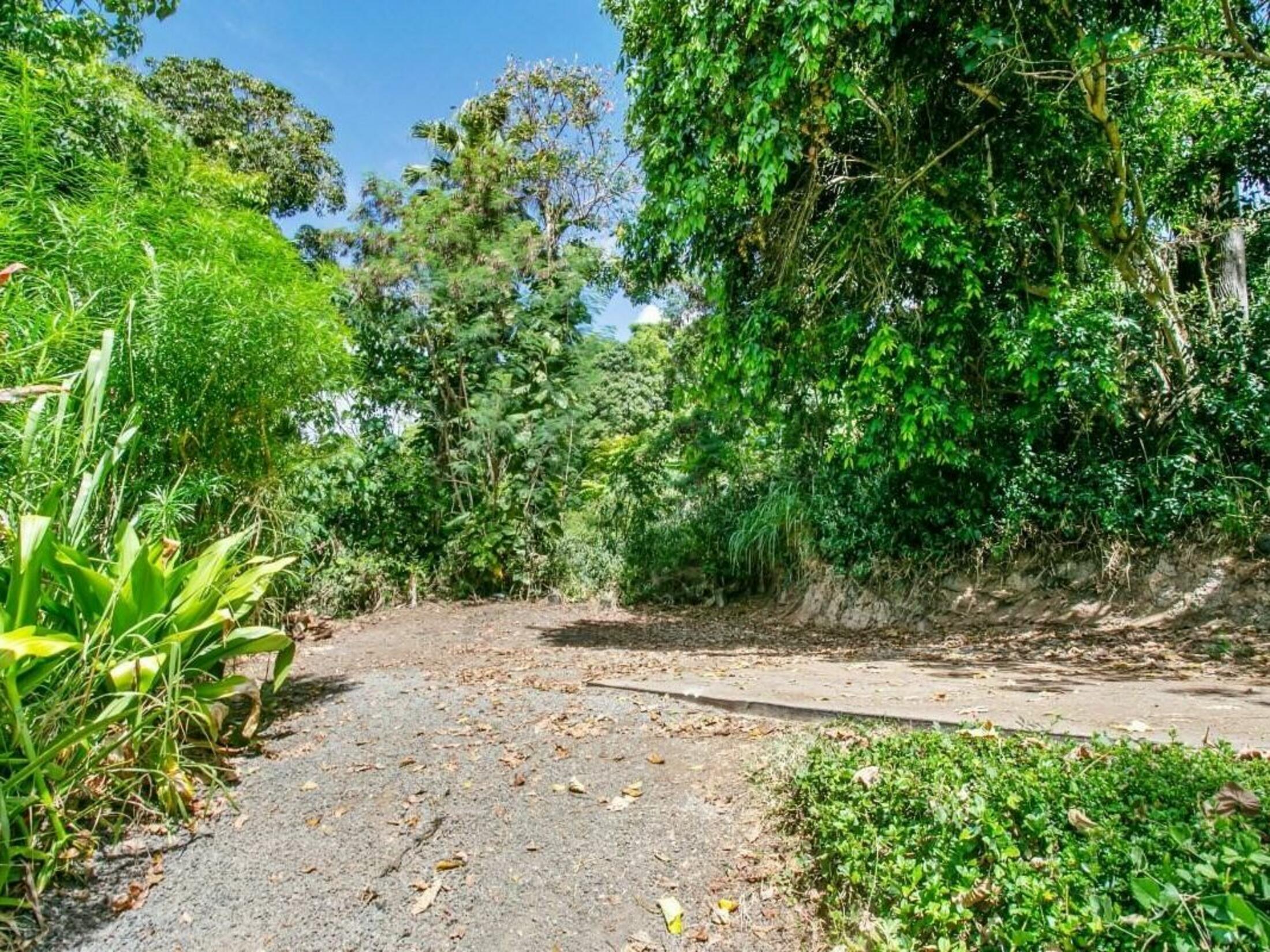 Property photo 19