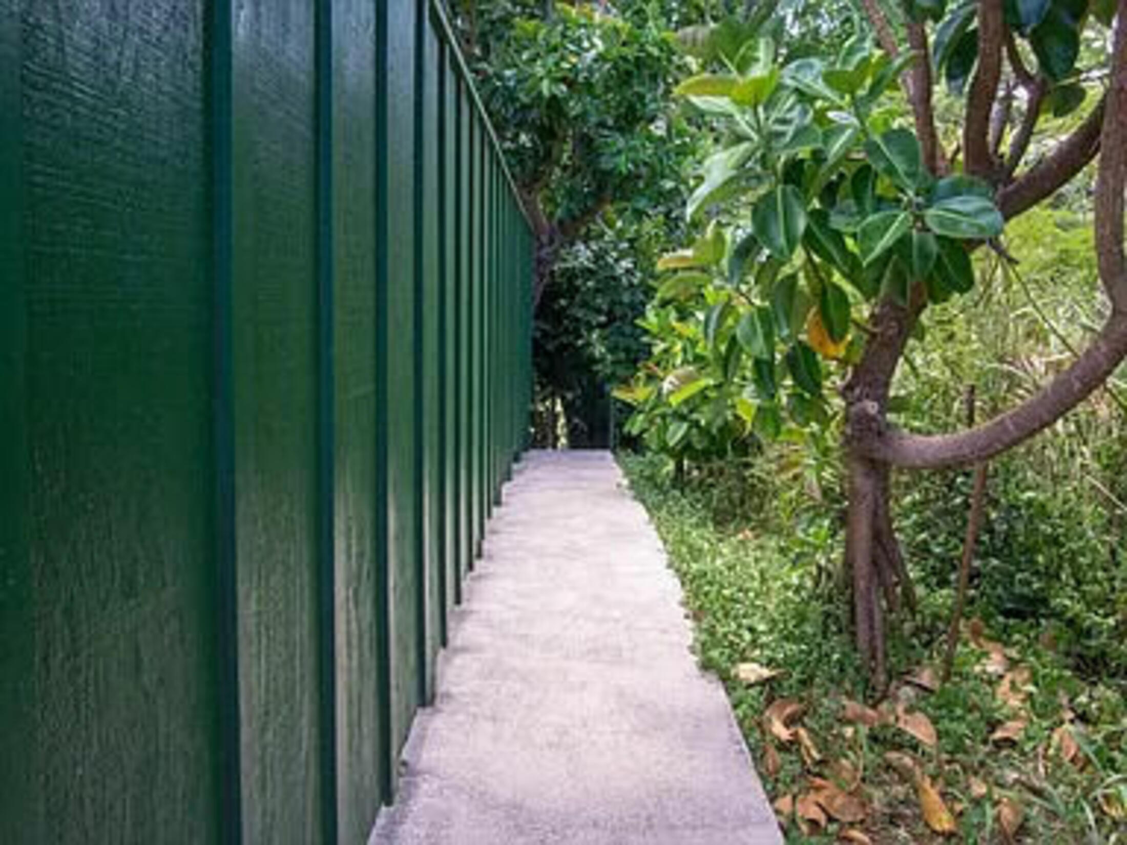 Property photo 12