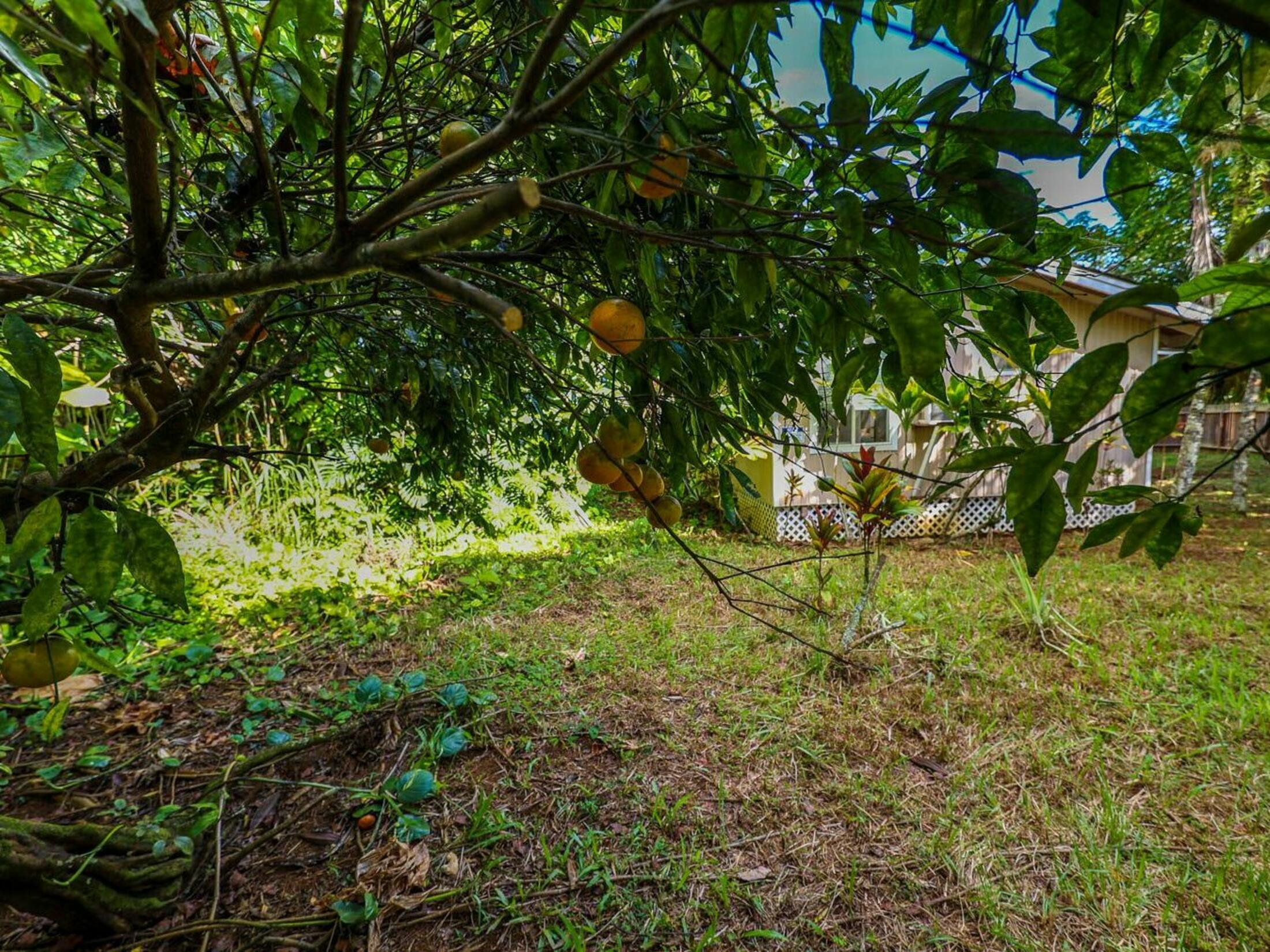 Property photo 20