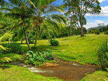 MLS#720467 — Kapaa Real Estate