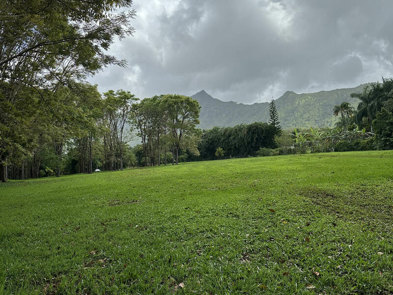 MLS#724487 — Kilauea Real Estate