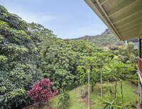 Thumbnail 21