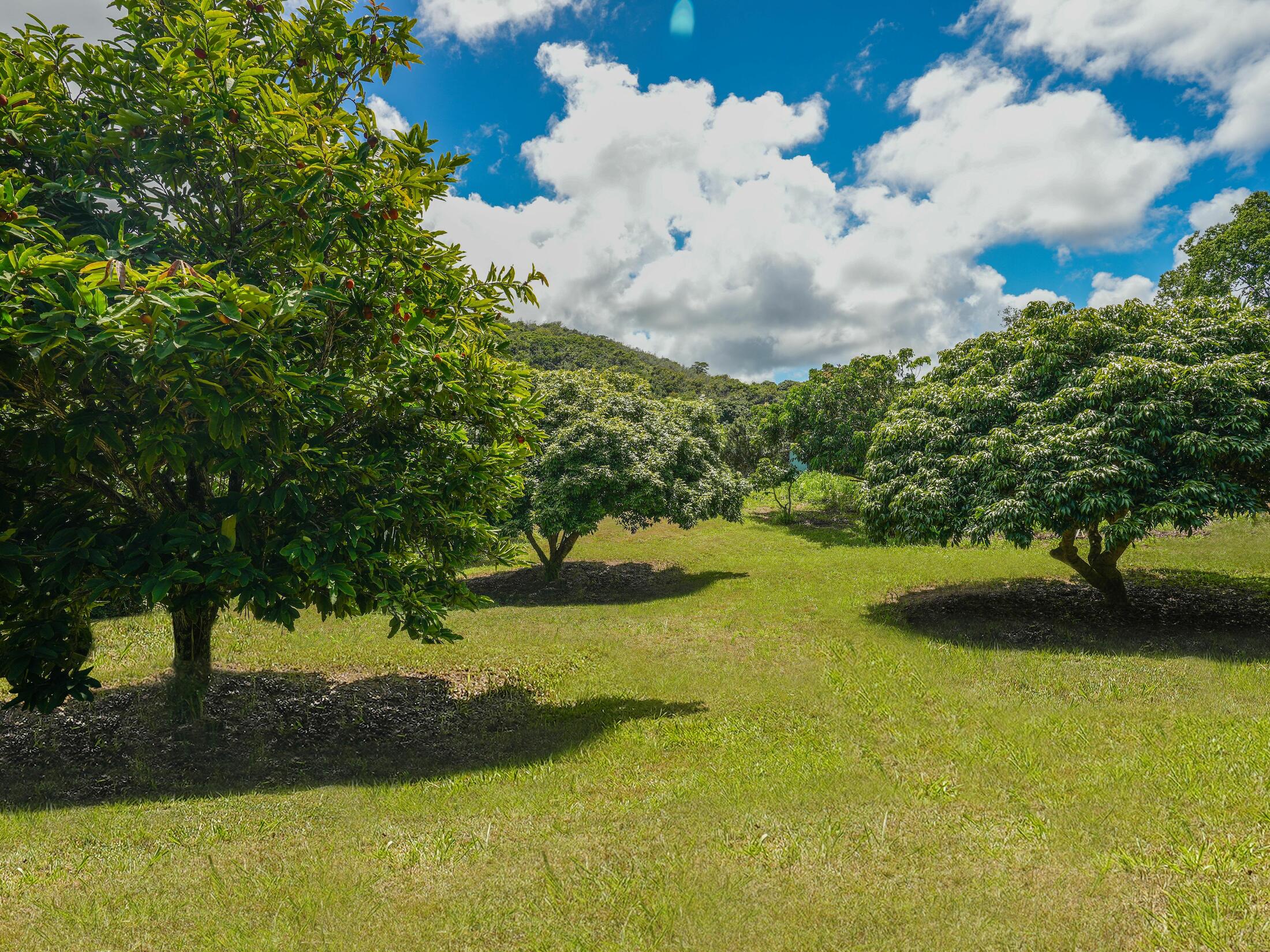 Property photo 28
