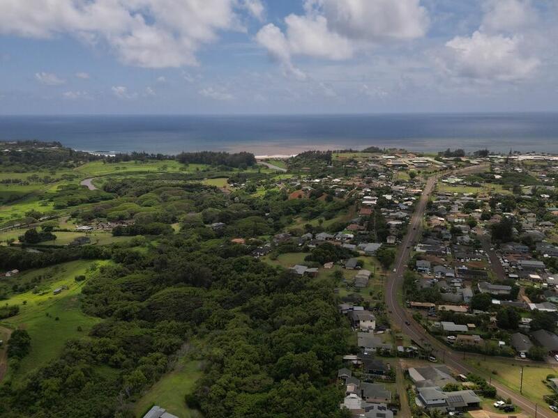 MLS#730757 — Kapaa Real Estate