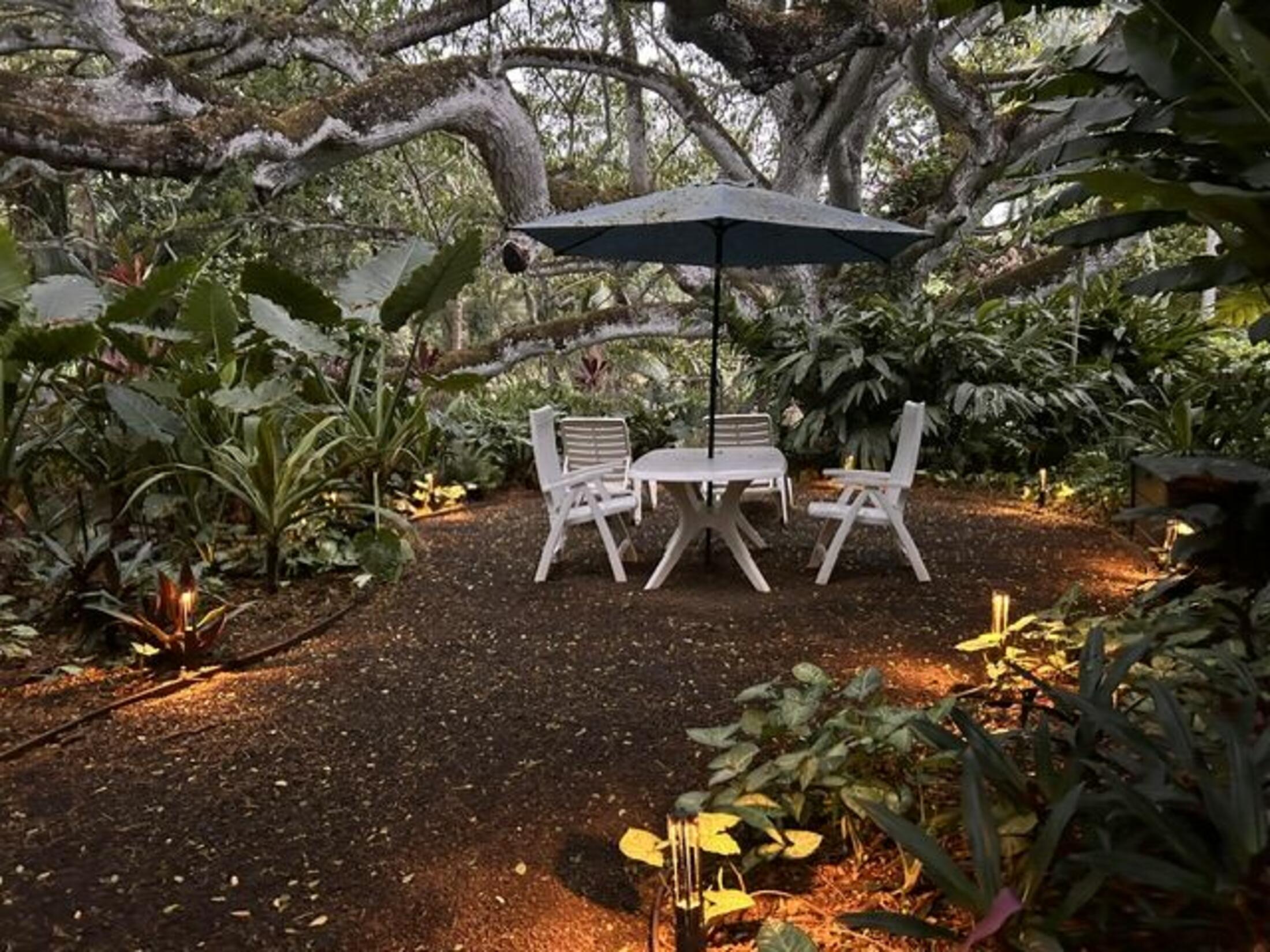 Property photo 19