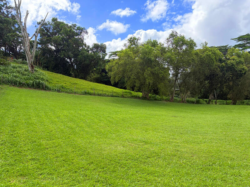 MLS#732327 — Koloa Real Estate