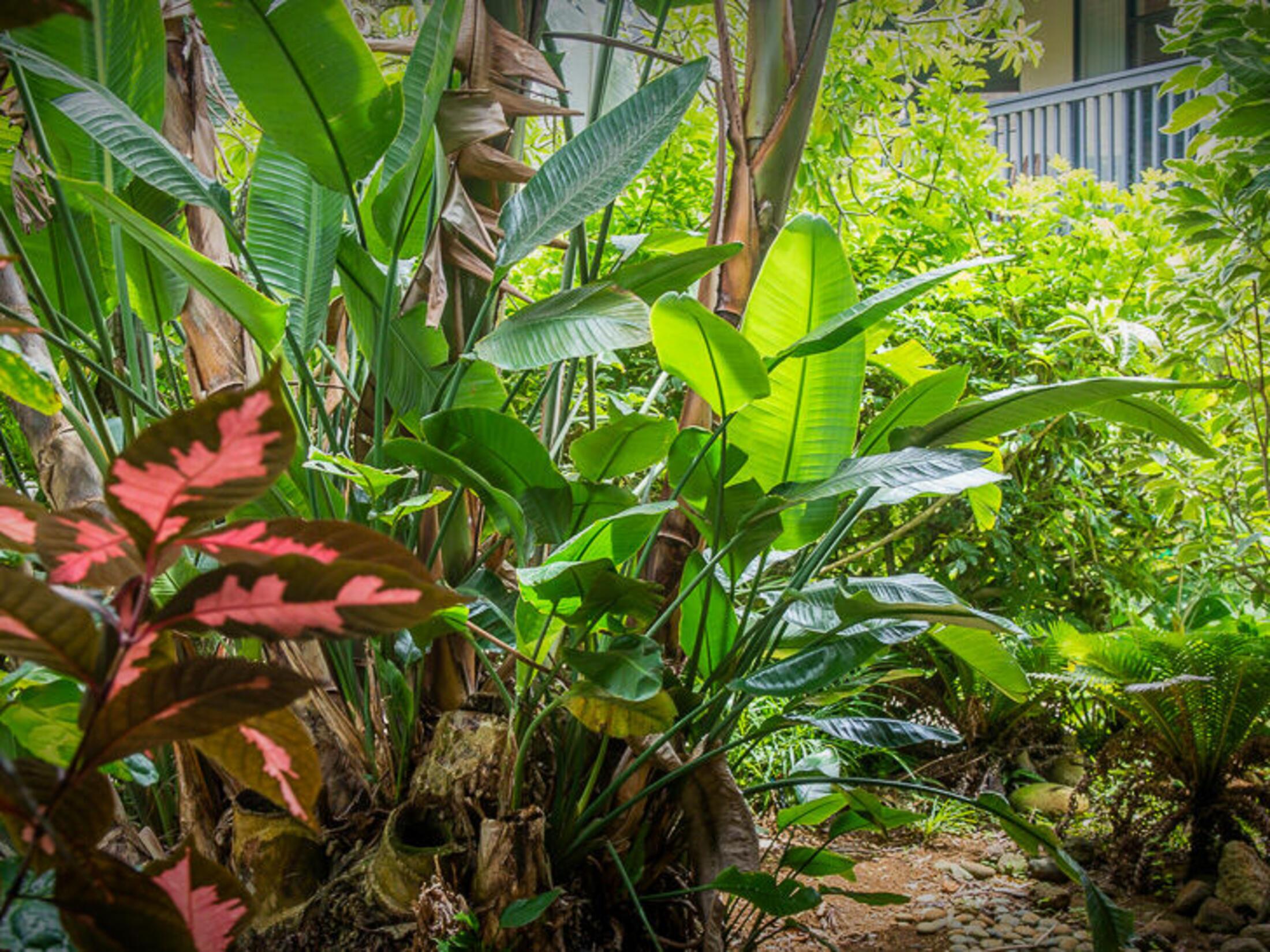 Property photo 28