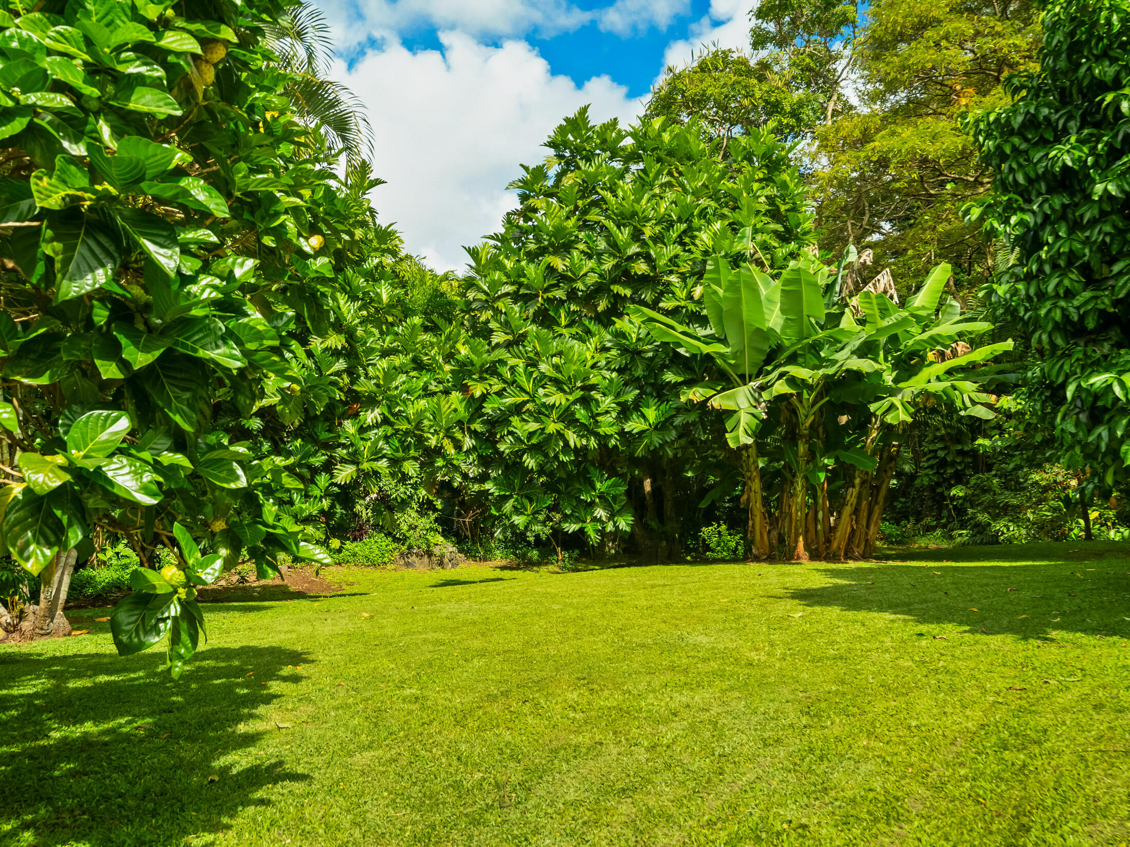Property photo 26