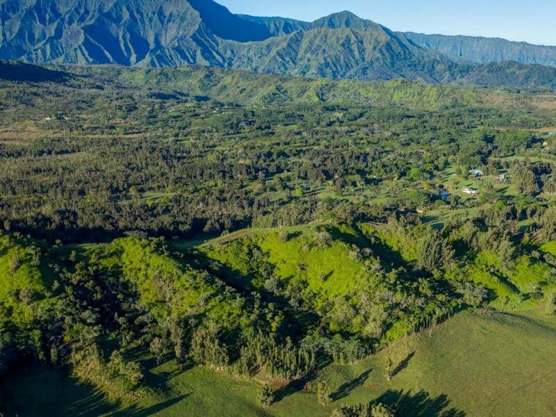 MLS#725378 — Kilauea Real Estate