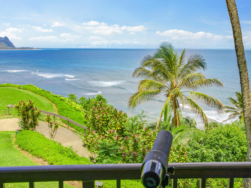 MLS#728738 — Princeville Real Estate