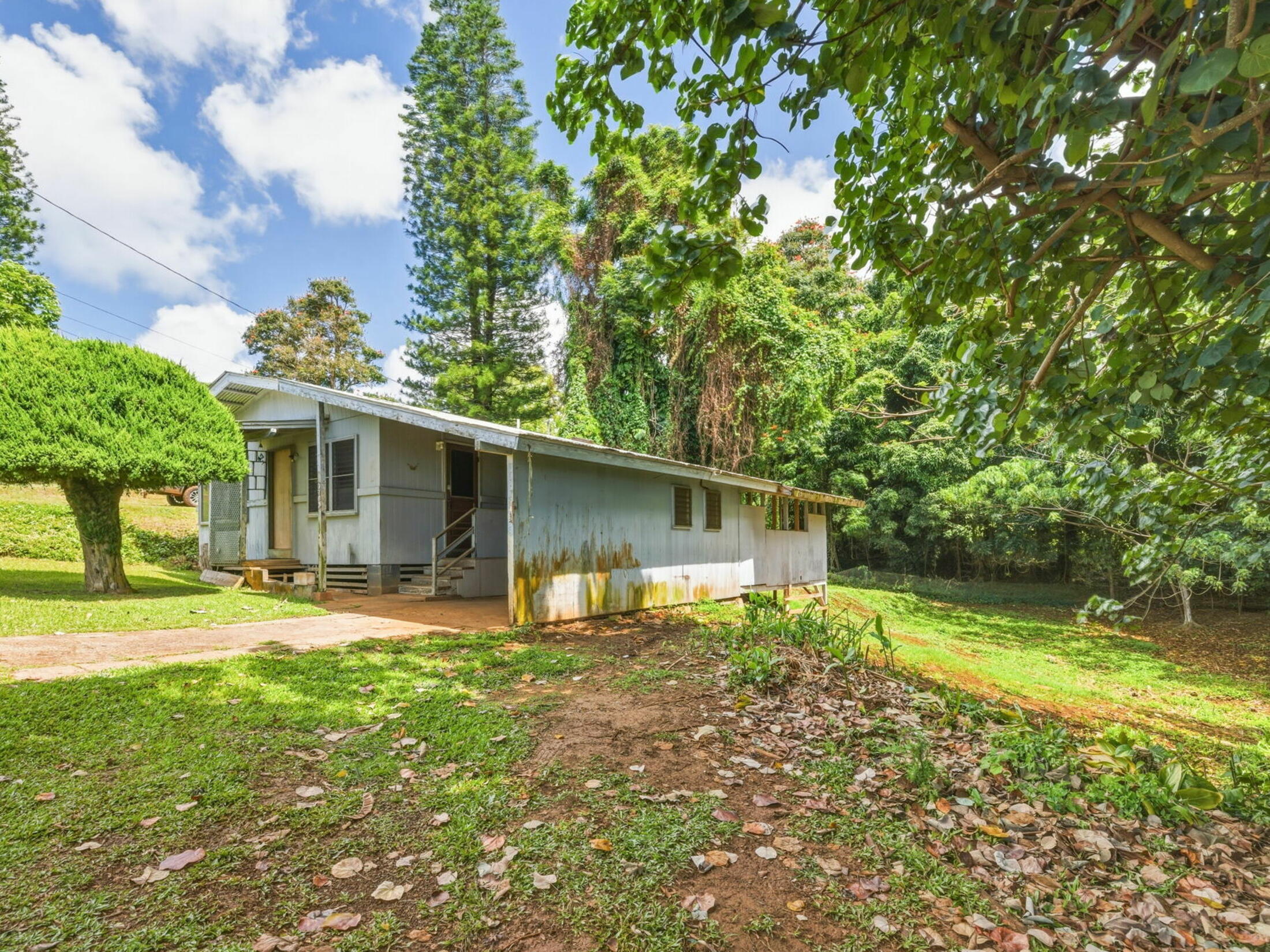 Property photo 19