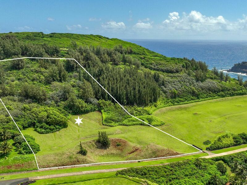 MLS#730298 — Kilauea Real Estate