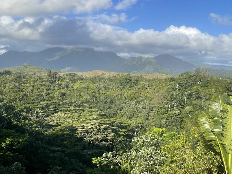 MLS#730398 — Kilauea Real Estate