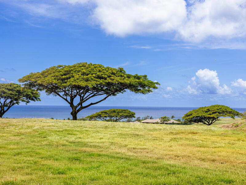 MLS#732178 — Koloa Real Estate