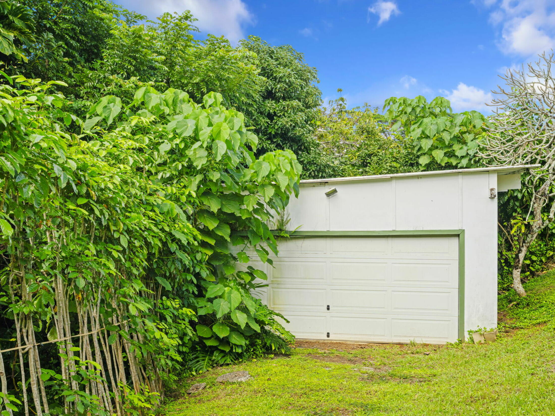 Property photo 24