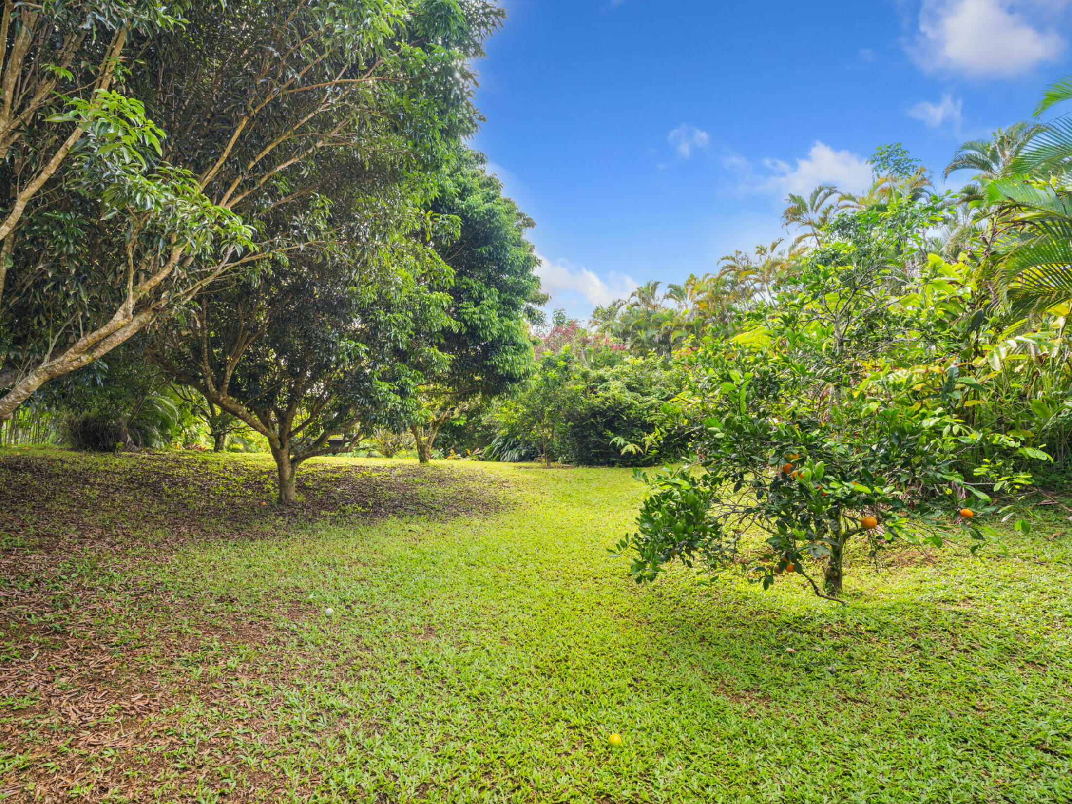 Property photo 27