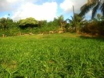 MLS#291279 — Kapaa Real Estate