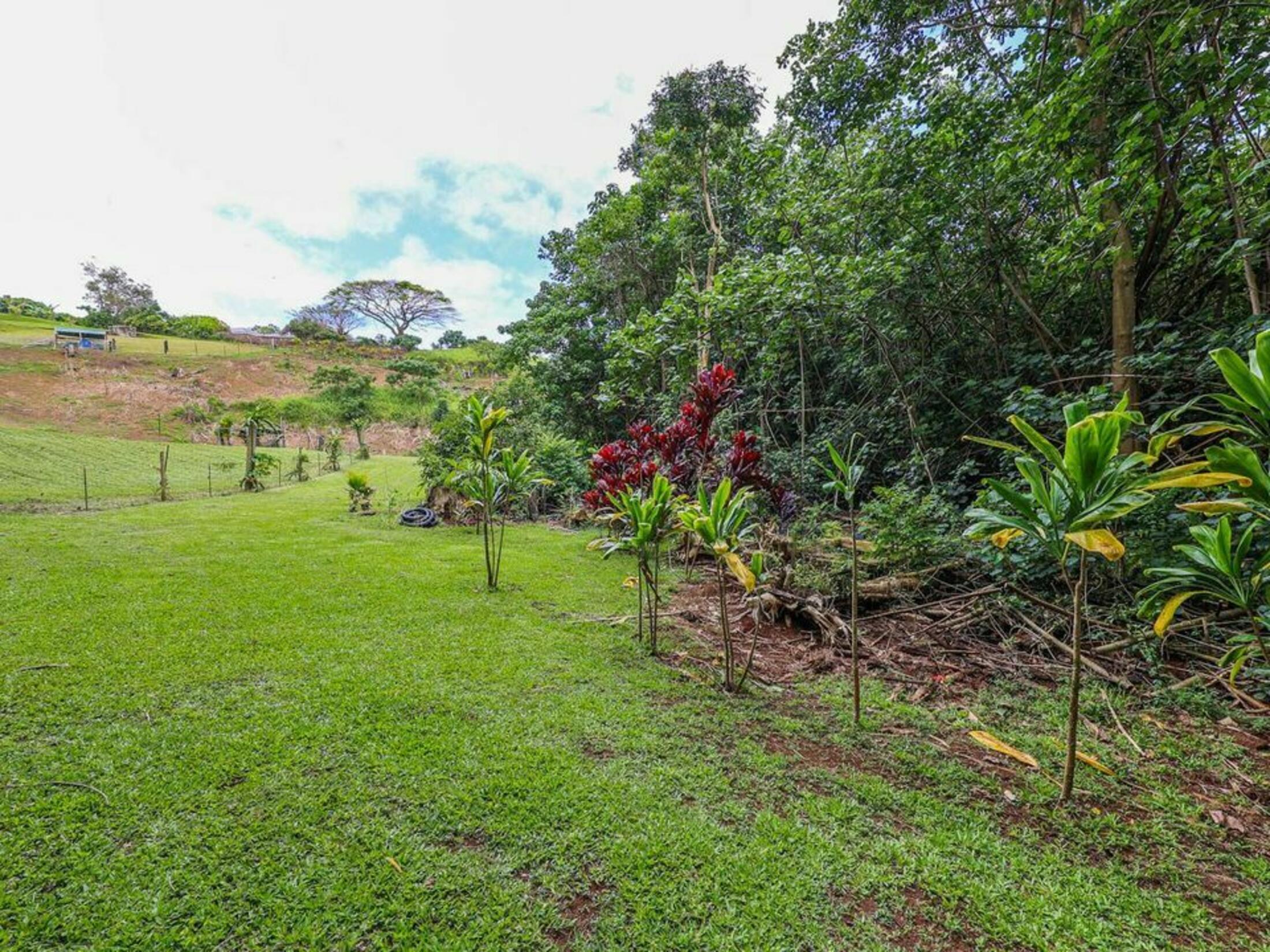 Property photo 17