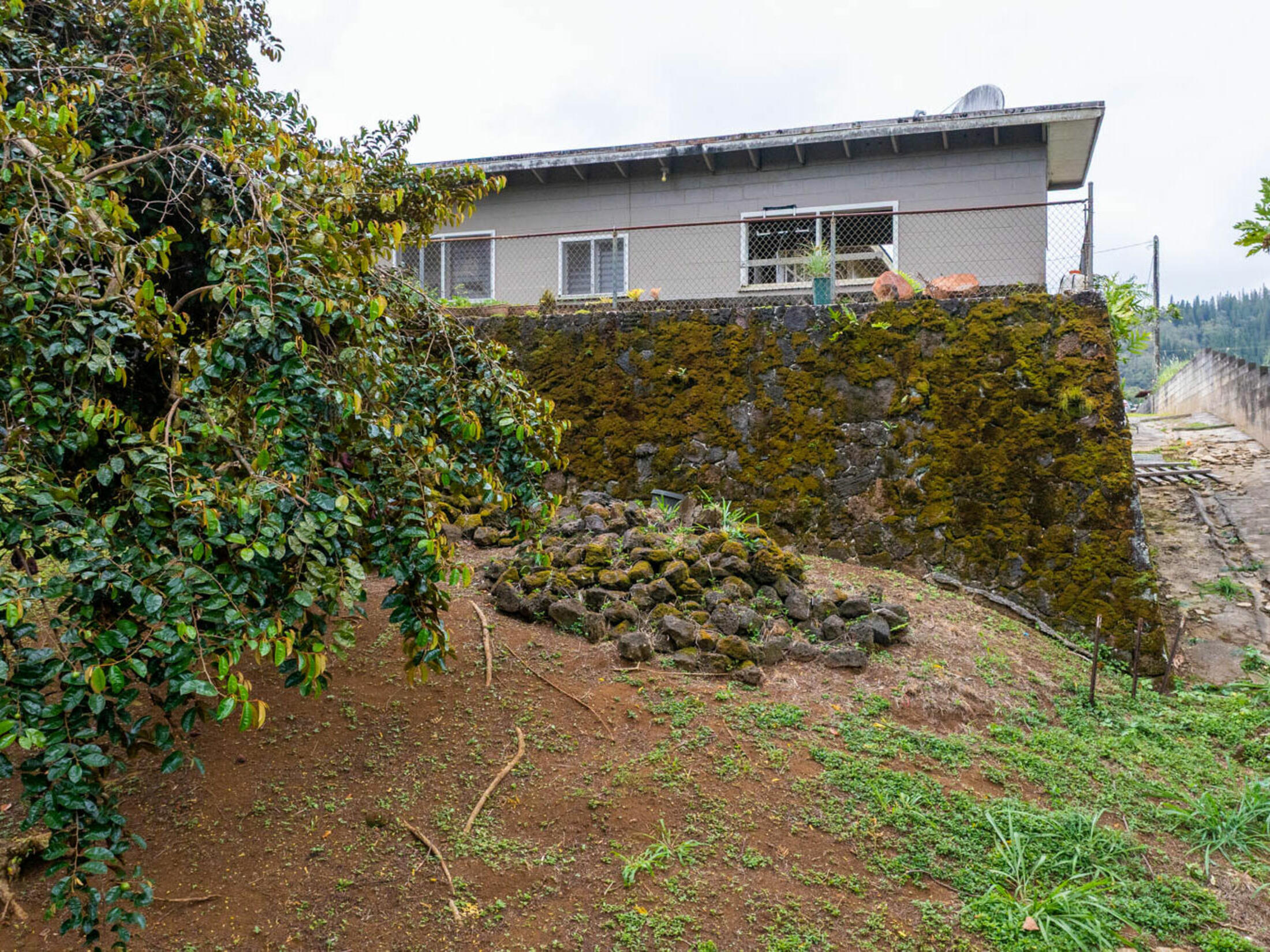 Property photo 20