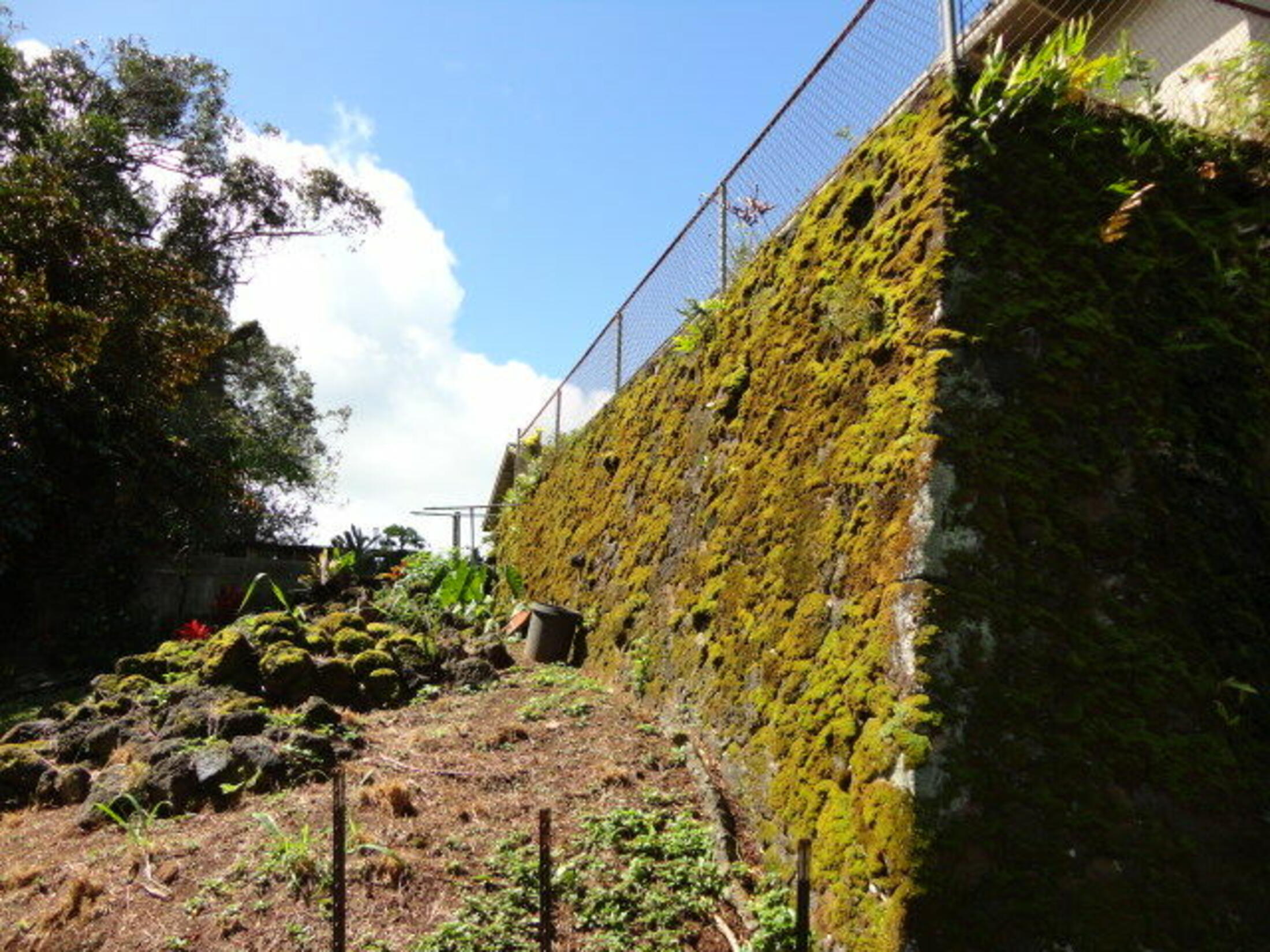 Property photo 21