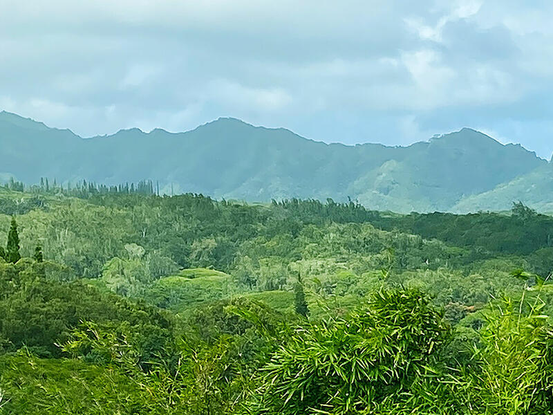 MLS#721549 — Kapaa Real Estate