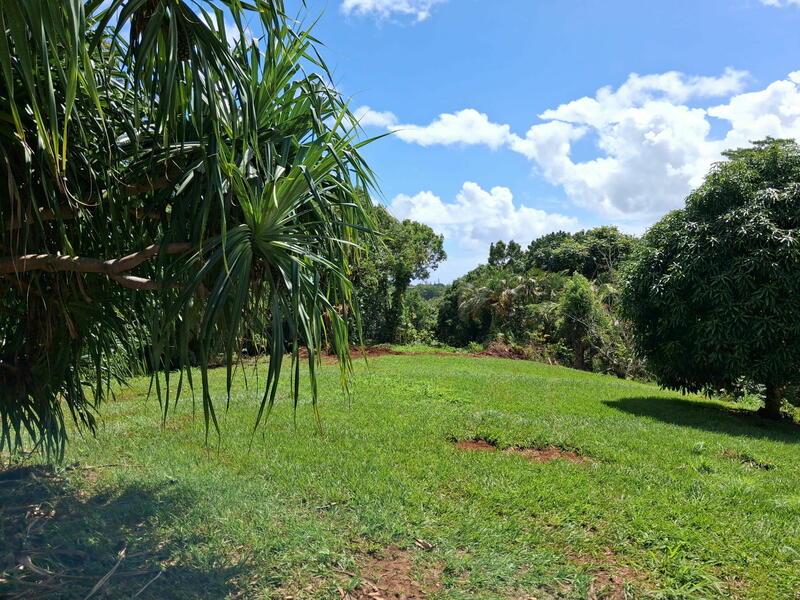 MLS#730819 — Kapaa Real Estate