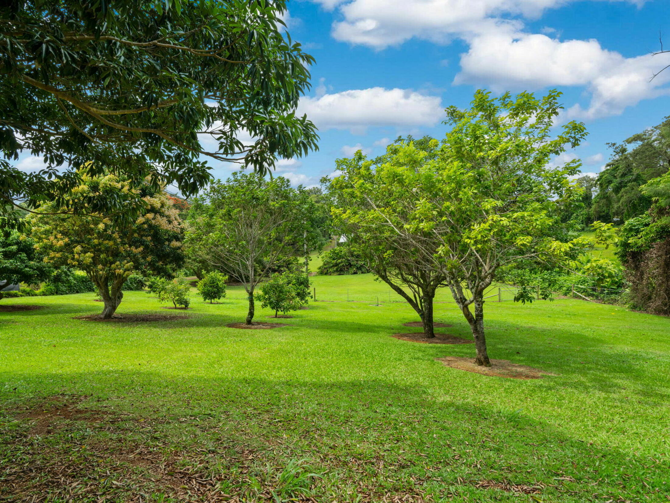 Property photo 25