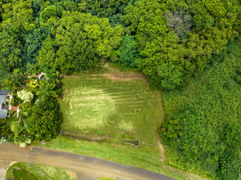 MLS#732959 — Kapaa Real Estate