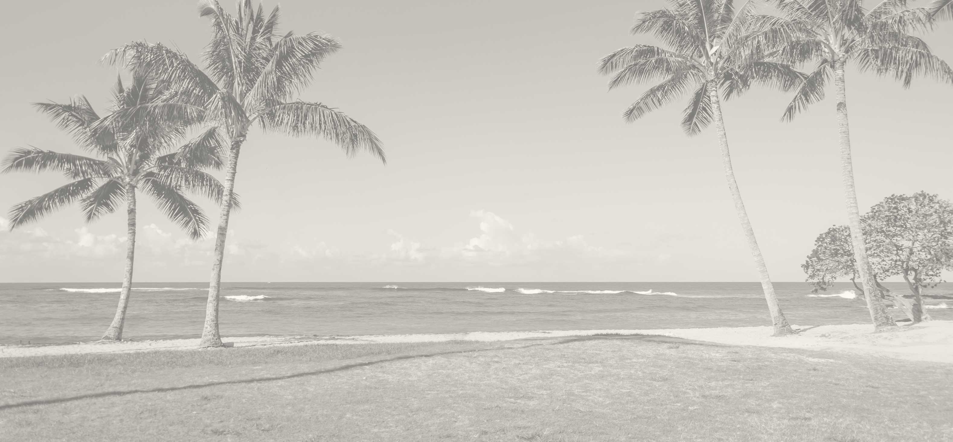 Kauai Beach Real Estate