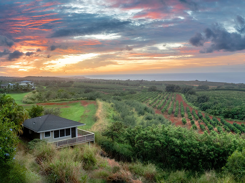 Lawai & Kalaheo Real Estate