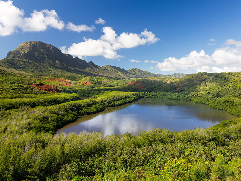 Lihue & Puhi Real Estate