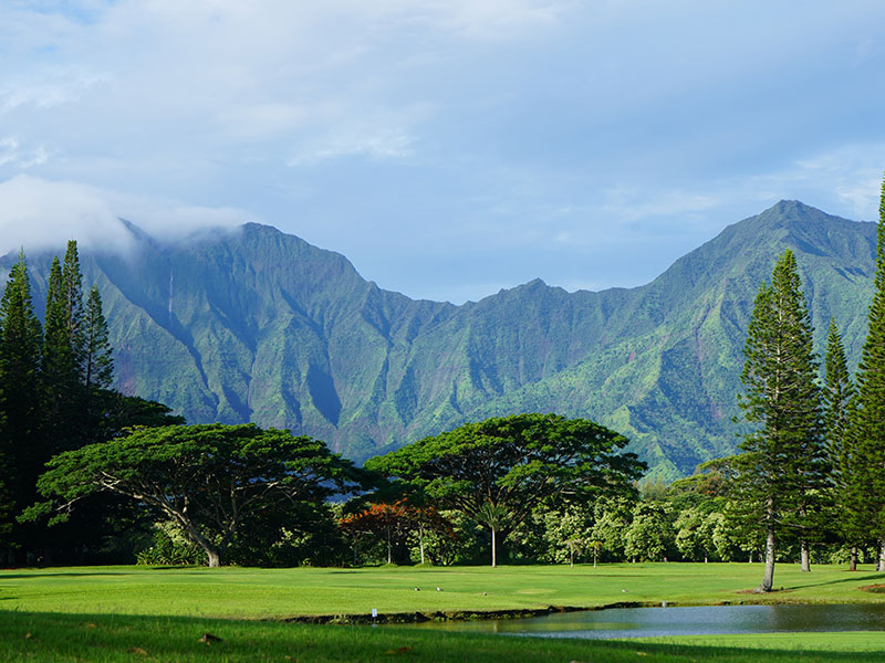 Princeville Real Estate