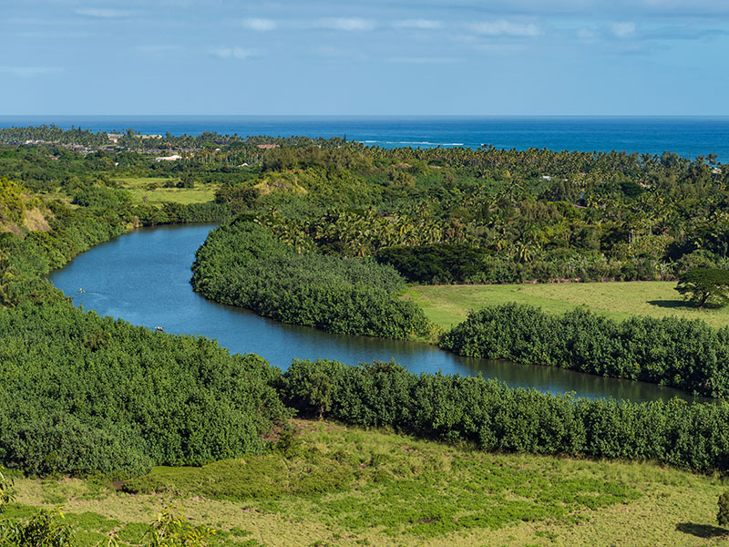 Wailua Homesteads