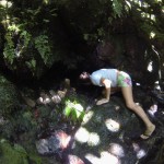 Makaleha Springs