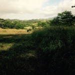 Vacant land Kauai REO