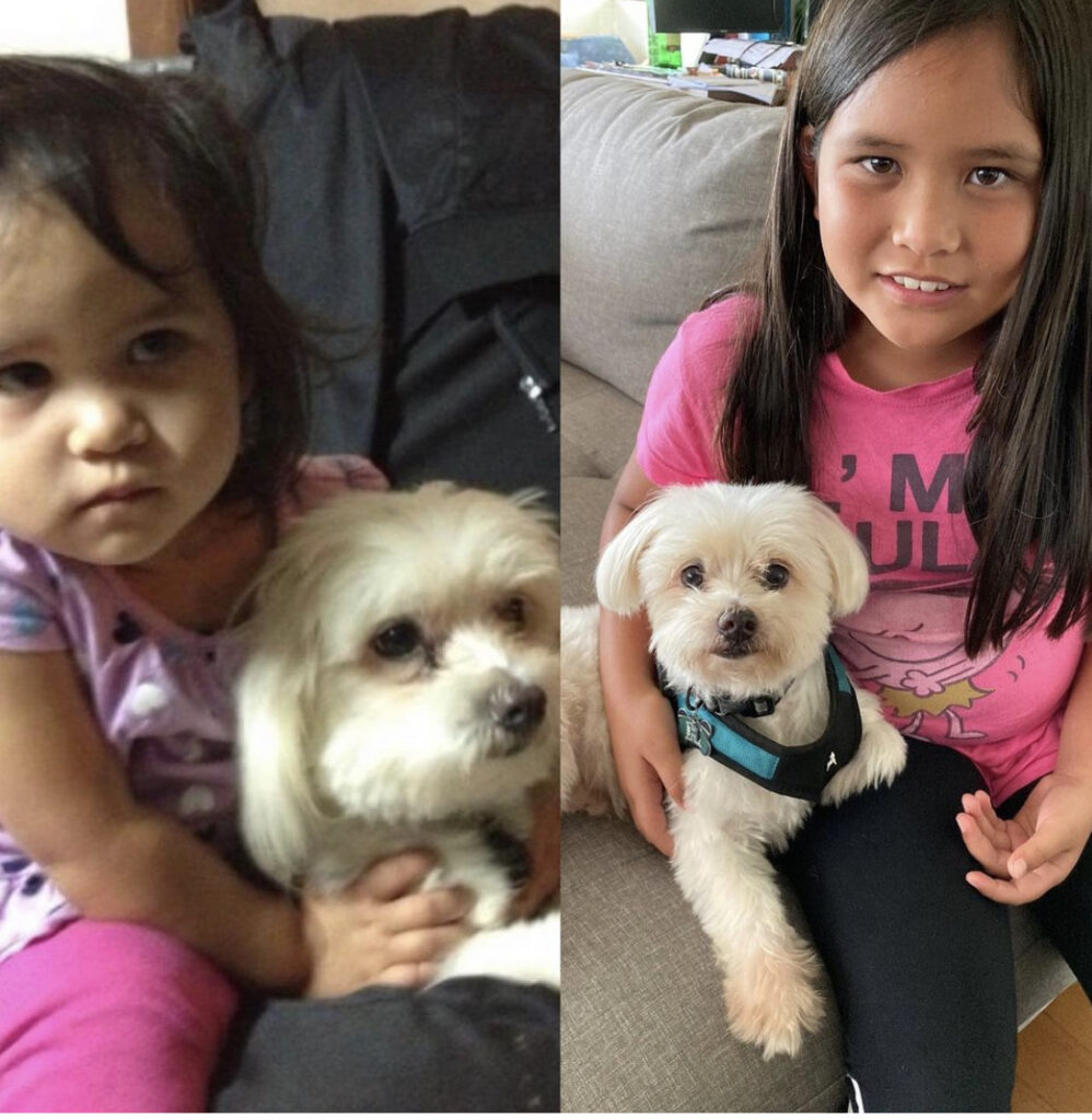 A List of Kauai Condos That Allow Pets