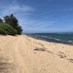 Haena homes for Sale