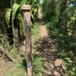 Haena Beach access