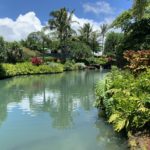 Kukuiula lot waterfall